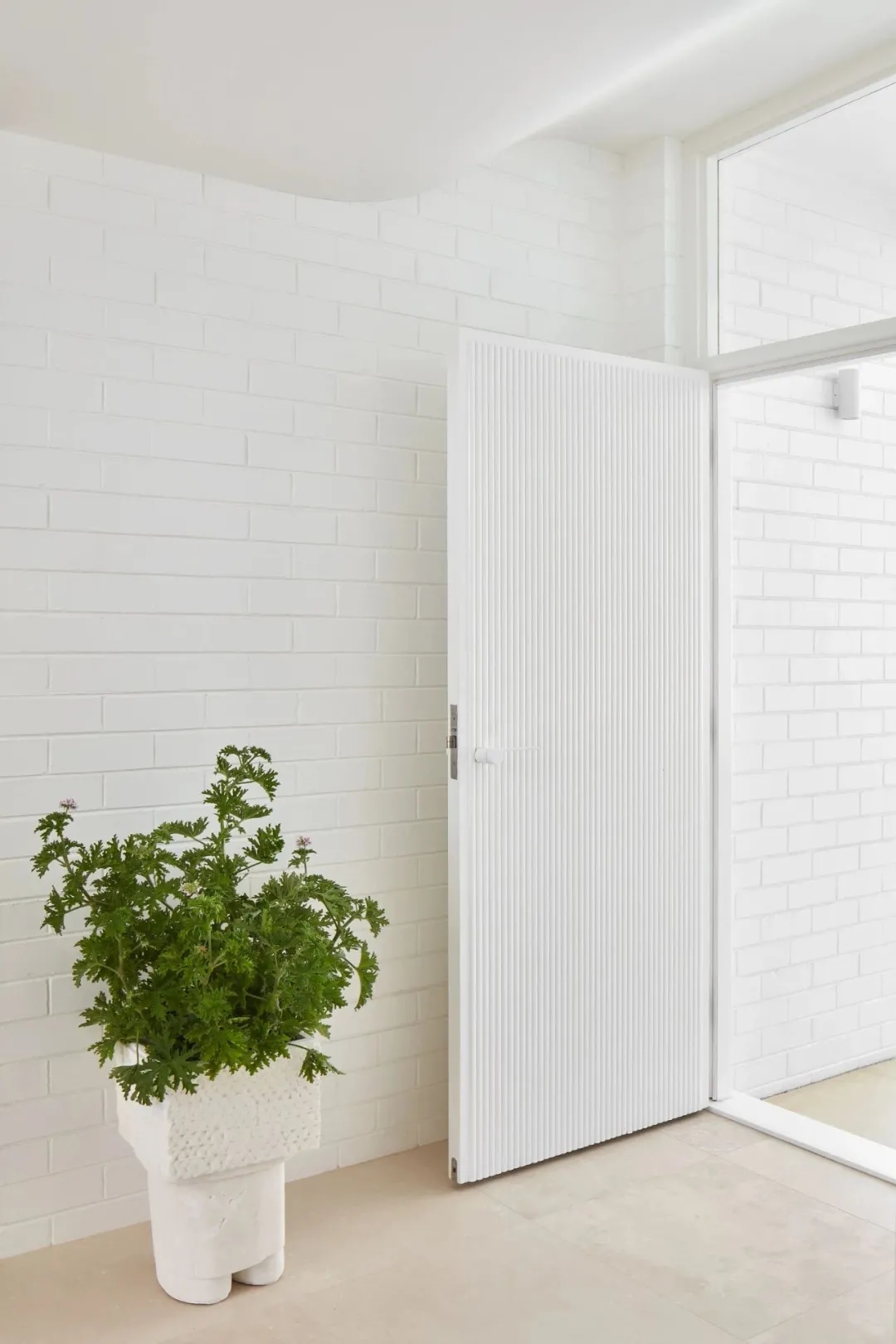 1636456198696905.jpg 6377207560475162534519932.jpg